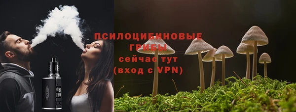 прущий лед Верея