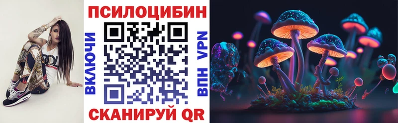 дарнет шоп  Карачаевск  Галлюциногенные грибы Cubensis 