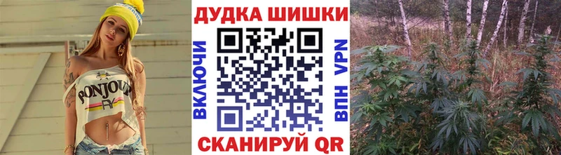 Канабис планчик  Карачаевск 